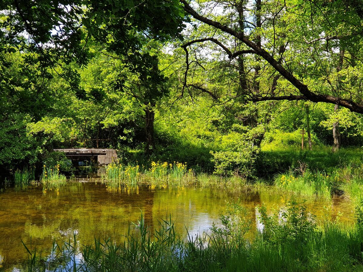 Pause nature en famille autour de L'Escampette
